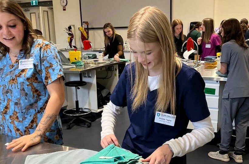 a student wearing scrubs fold cloths in a medical setting. More students and staff in scrubs are in the background.